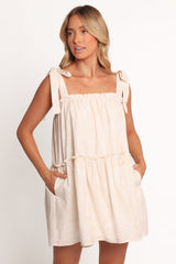 Wells Mini Dress - Tan Swirl